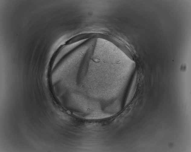 X0000102010340200808081730