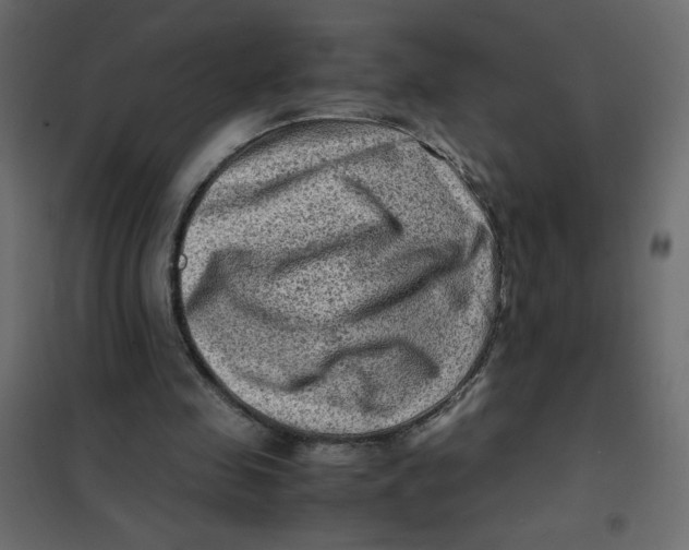 X0000102010341200808081730