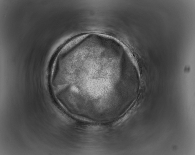 X0000102010342200808081730