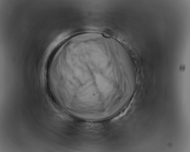 X0000102010343200808081730