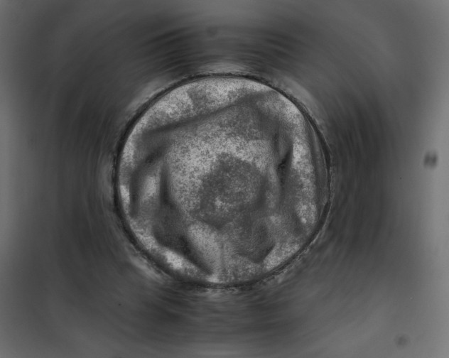 X0000102010345200808081730