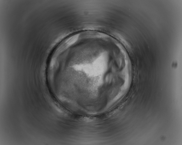 X0000102010346200808081730