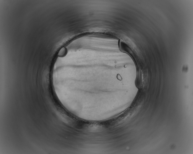 X0000102010348200808081730