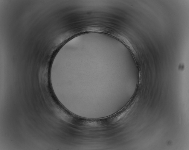 X0000102010349200808081730