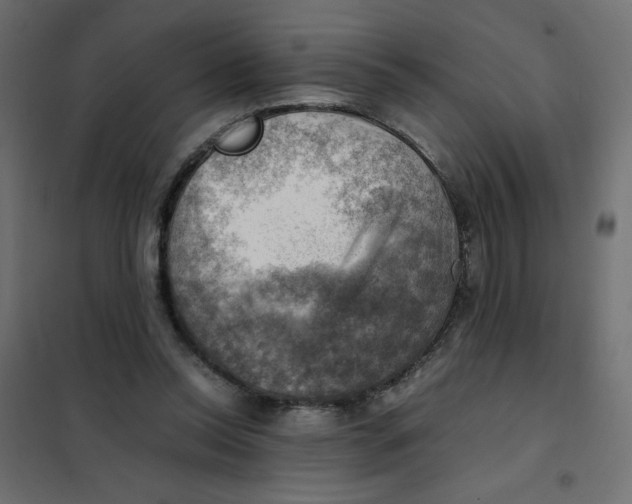 X0000102010350200808081730