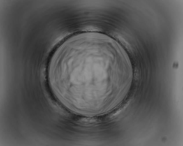 X0000102010351200808081730