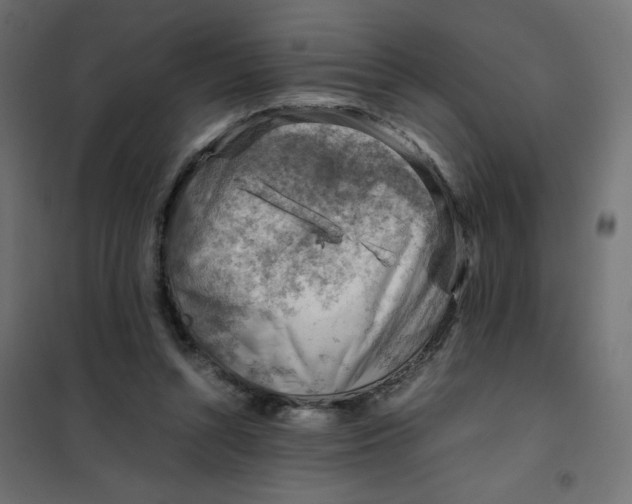 X0000102010352200808081730