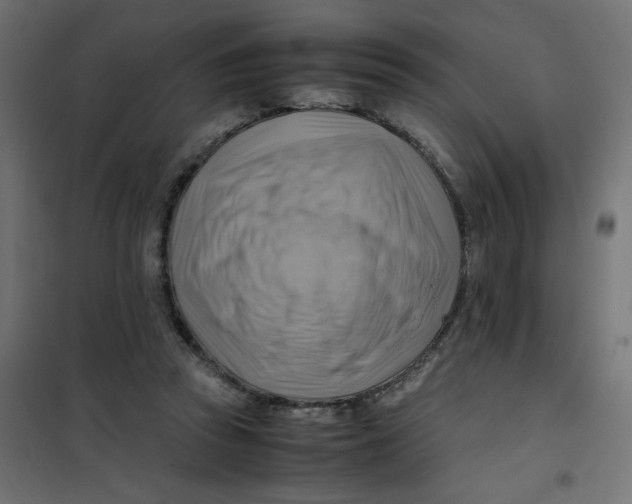 X0000102010353200808081730