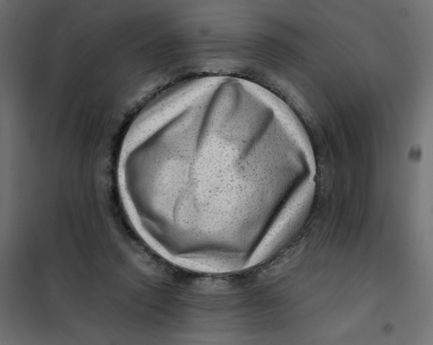 X0000102010354200808081730