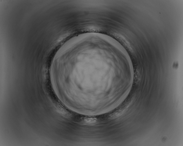 X0000102010355200808081730