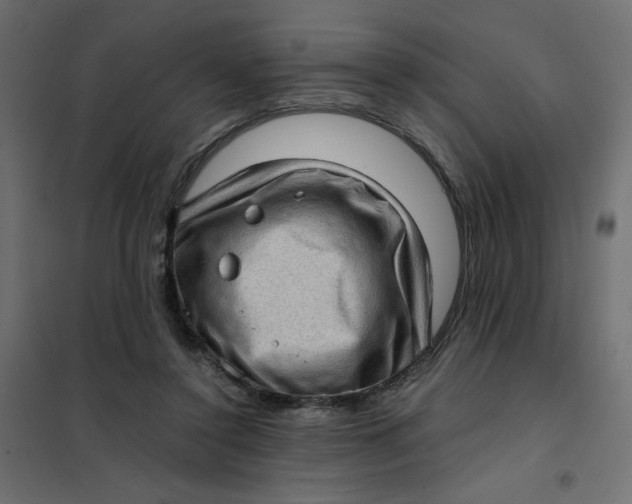 X0000102010356200808081730