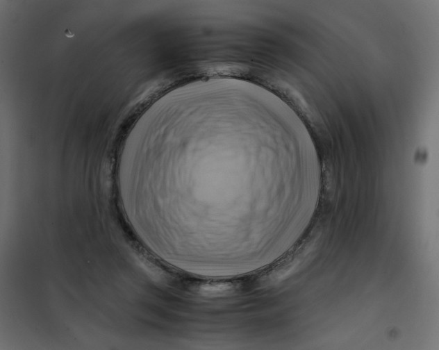 X0000102010357200808081730