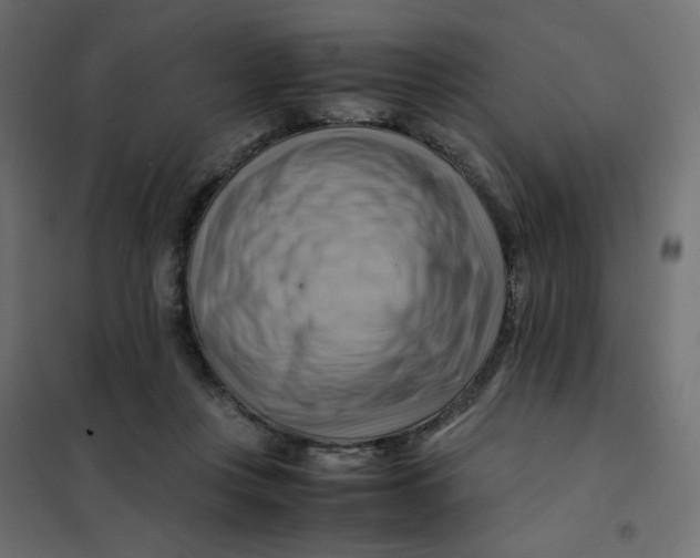 X0000102010359200808081730