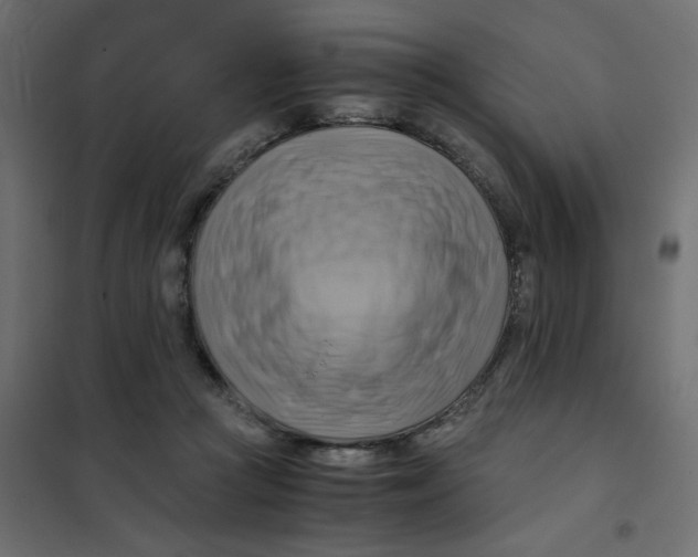 X0000102010361200808081730