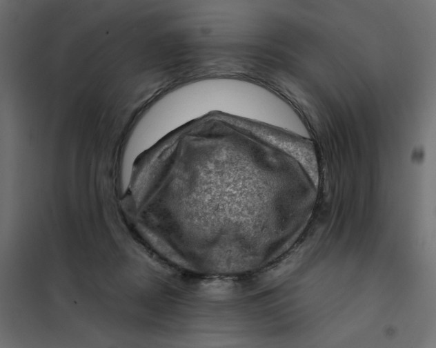 X0000102010362200808081730