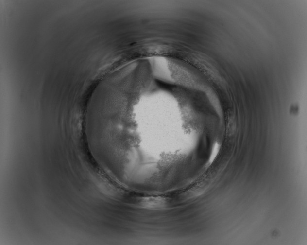 X0000102010363200808081730