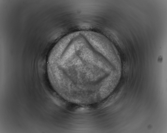 X0000102010364200808081730