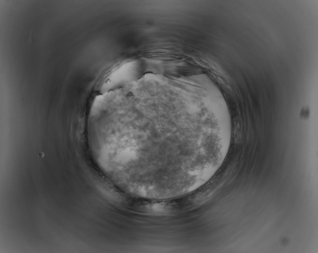 X0000102010365200808081730