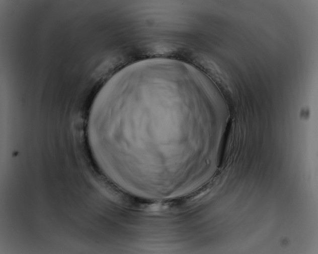 X0000102010366200808081730