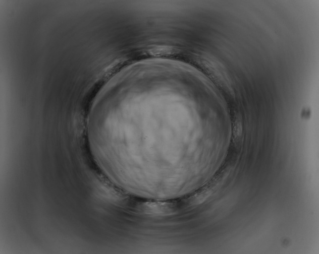 X0000102010367200808081730