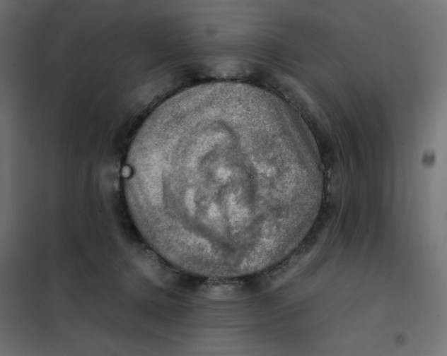 X0000102010368200808081730