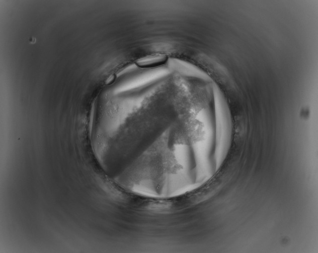 X0000102010369200808081730