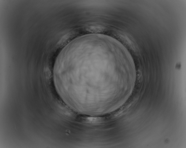 X0000102010371200808081730