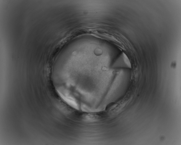 X0000102010372200808081730