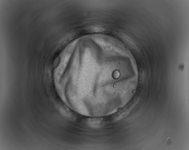 X0000102010373200808081730