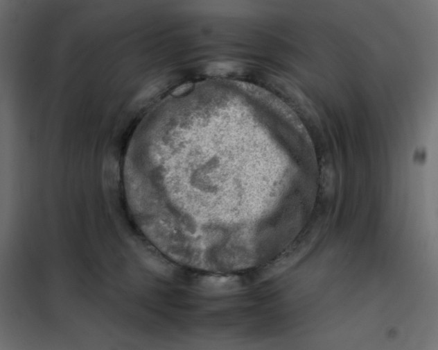 X0000102010375200808081730