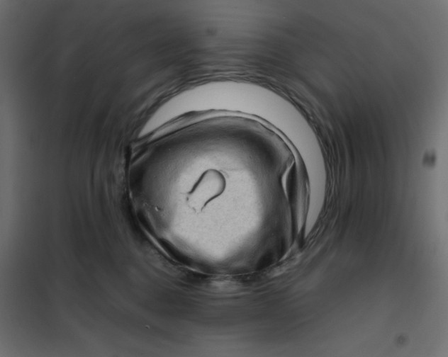 X0000102010376200808081730