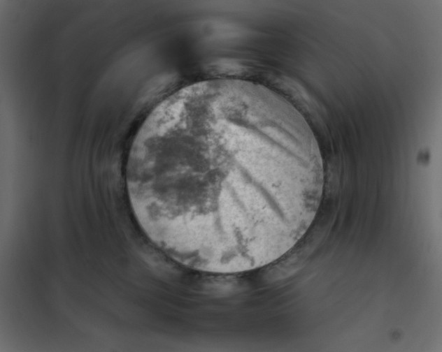 X0000102010377200808081730