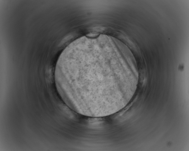 X0000102010378200808081730