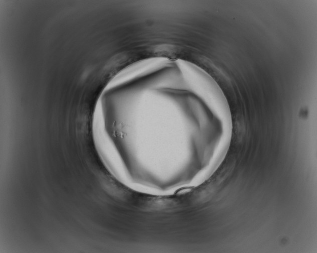 X0000102010379200808081730