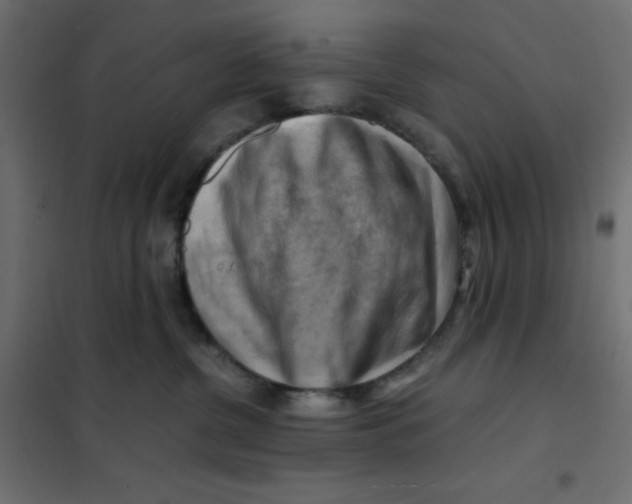 X0000102010380200808081730