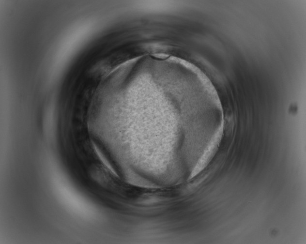 X0000102010381200808081730