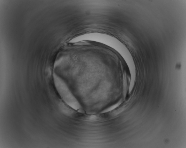 X0000102010382200808081730