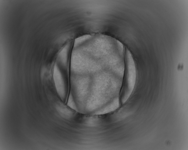 X0000102010384200808081730