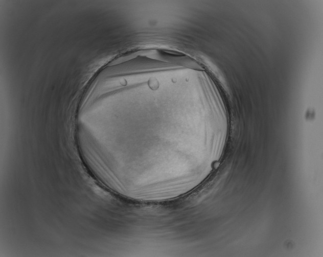 X0000102010385200808081729