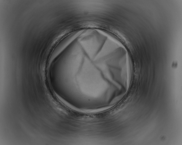 X0000102010386200808081729