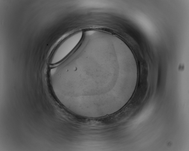 X0000102010387200808081729