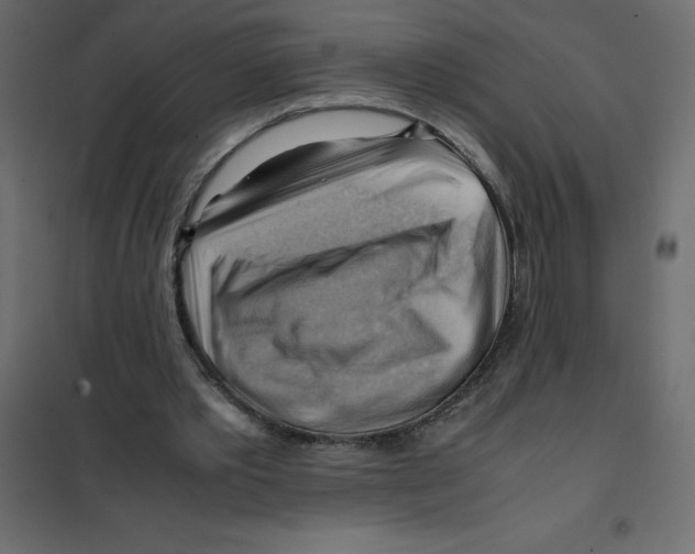 X0000102010389200808081729