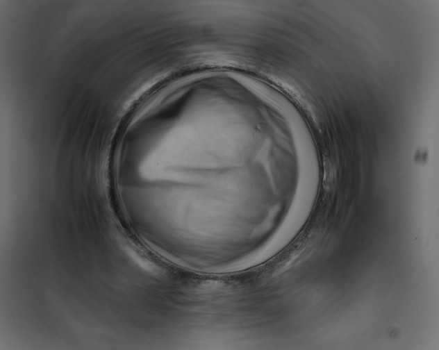 X0000102010390200808081729