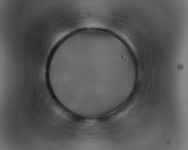 X0000102010391200808081729