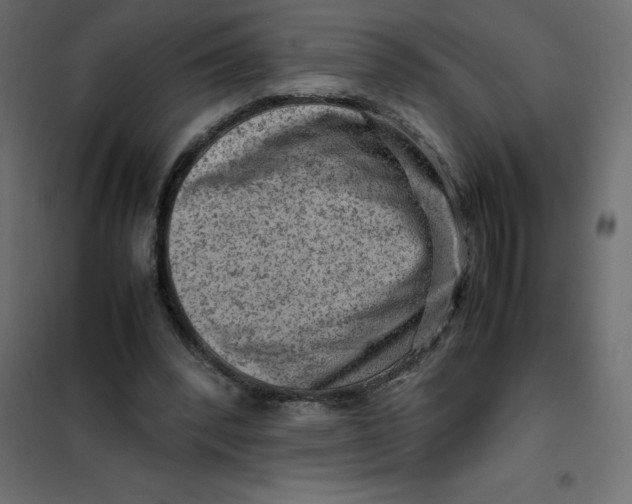 X0000102010392200808081729