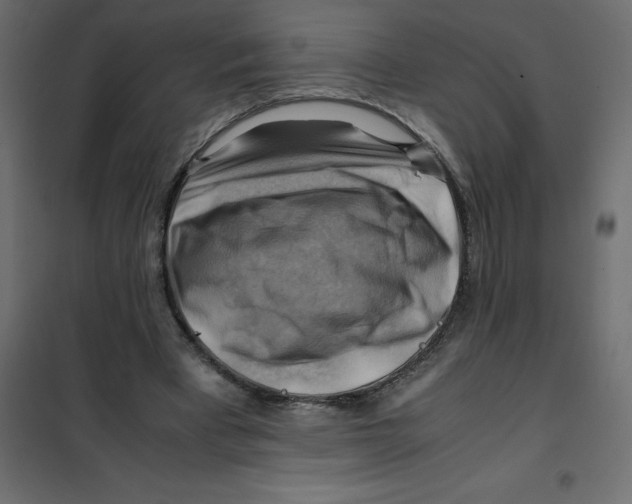 X0000102010393200808081729