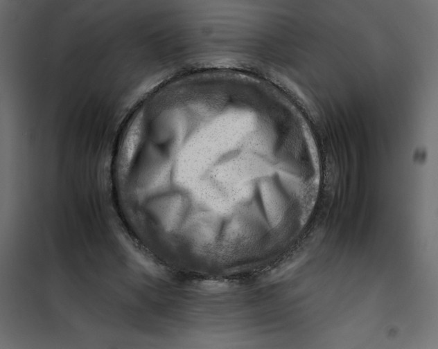 X0000102010394200808081729