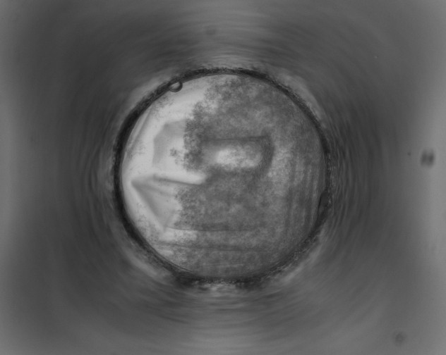 X0000102010395200808081729