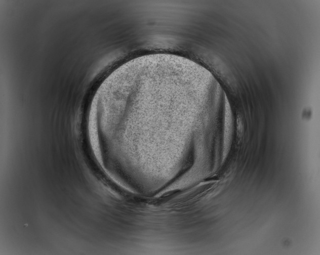 X0000102010396200808081729