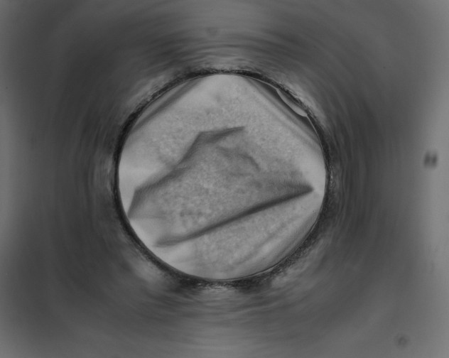 X0000102010397200808081729